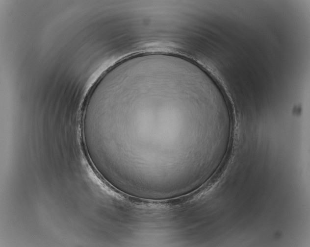 X0000115010941200911161557