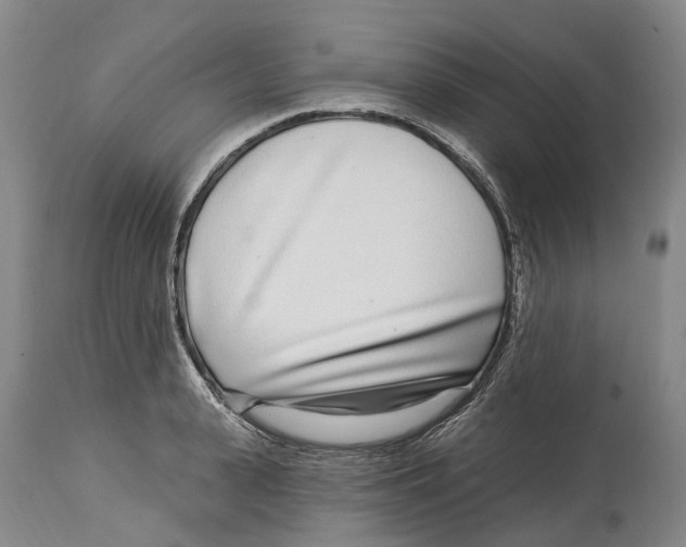 X0000115010943200911161557