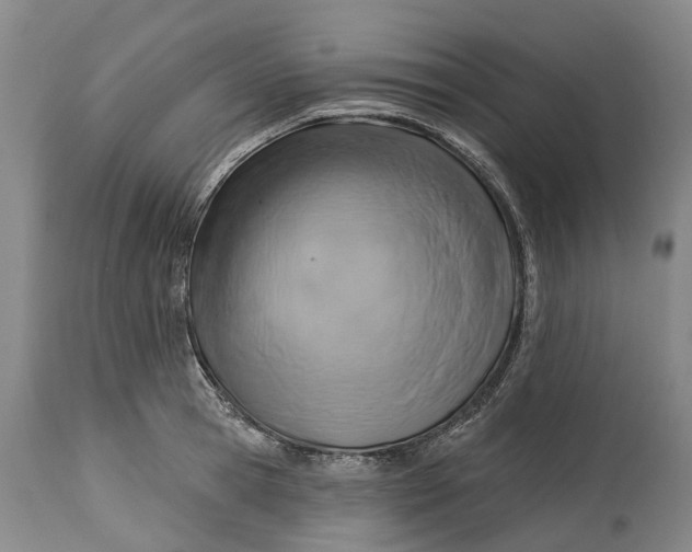 X0000115010945200911161557