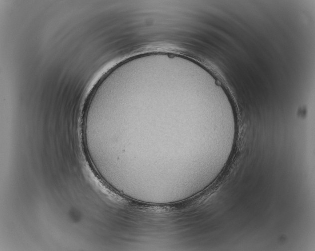X0000115010947200911161557