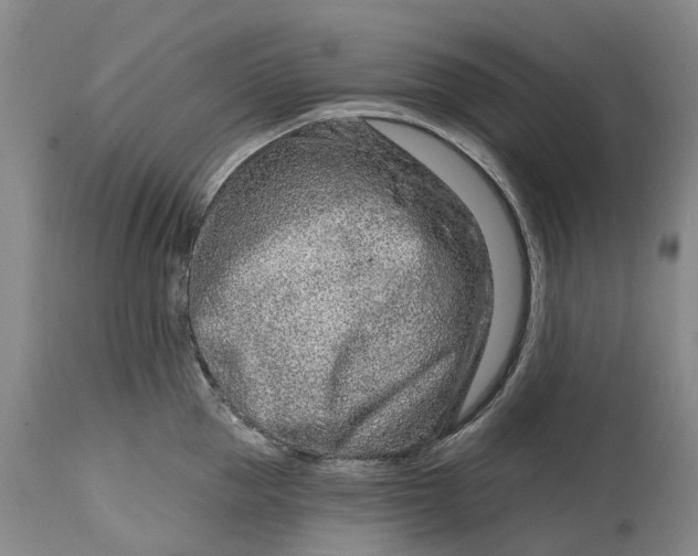X0000115010953200911161557