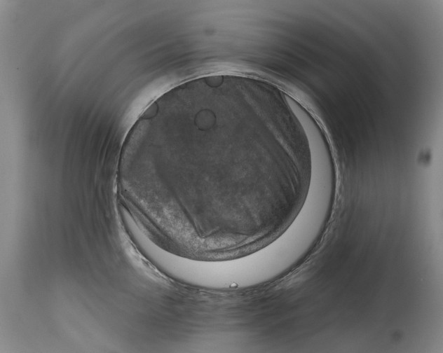 X0000115010954200911161557