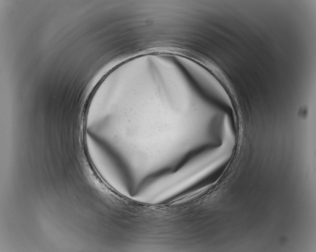 X0000115010955200911161557