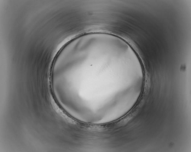 X0000115010957200911161557