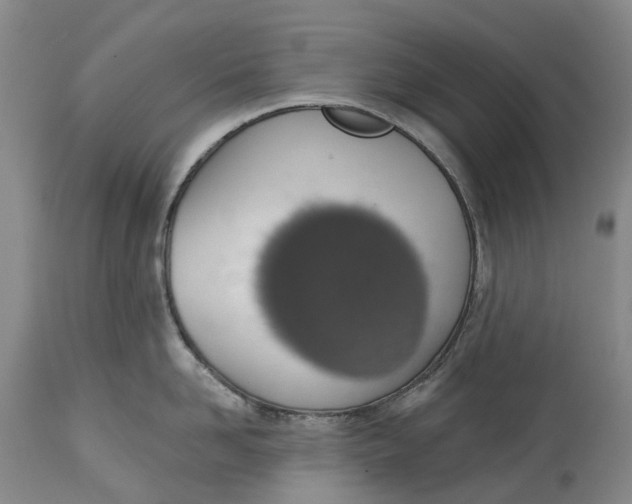 X0000115010958200911161557
