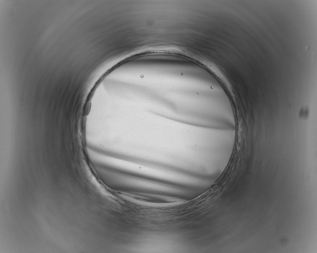 X0000115010959200911161557