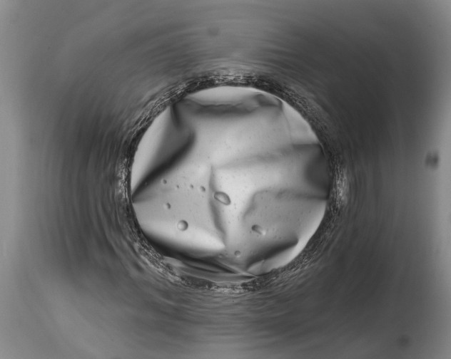 X0000115010964200911161557