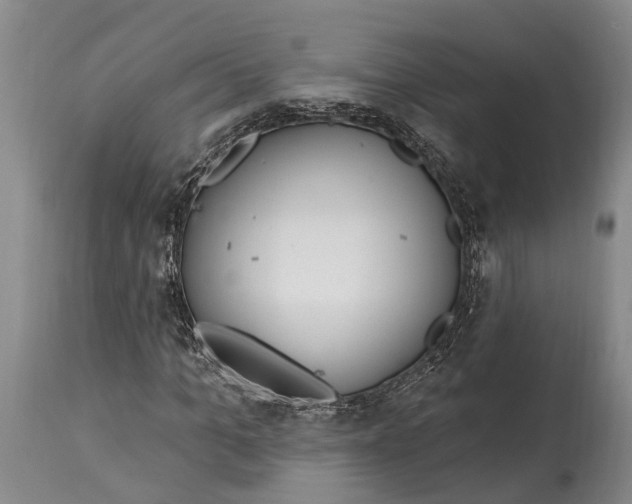 X0000115010965200911161556
