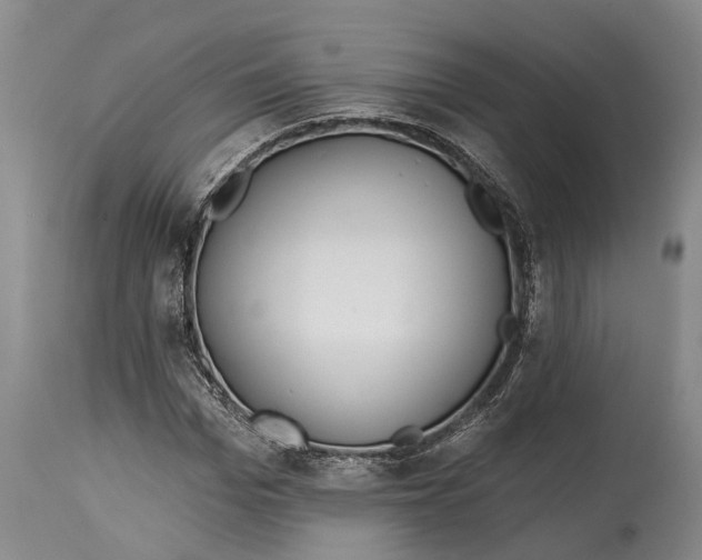 X0000115010969200911161556