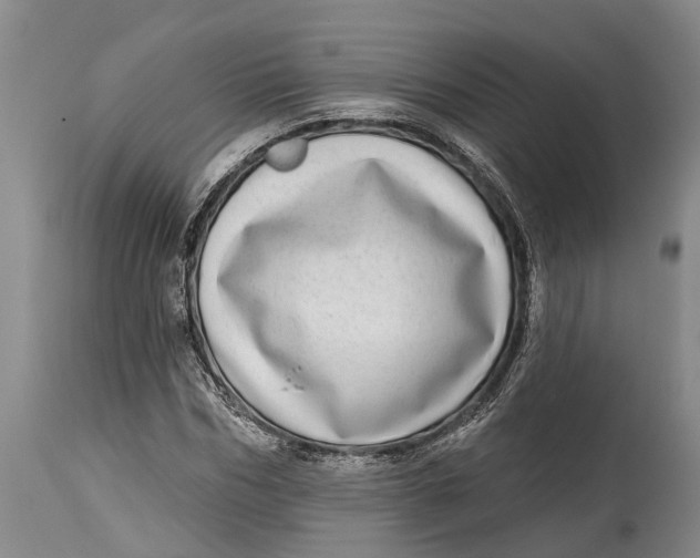 X0000115010970200911161556