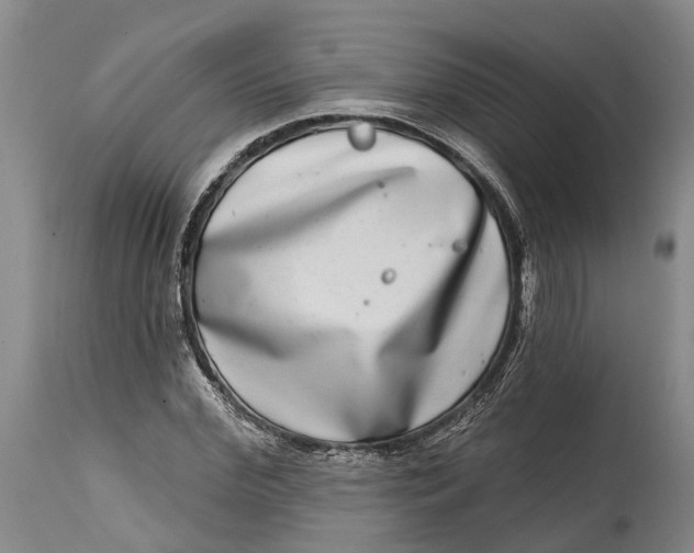 X0000115010972200911161556