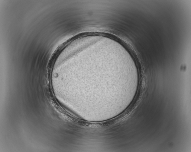 X0000115010974200911161556