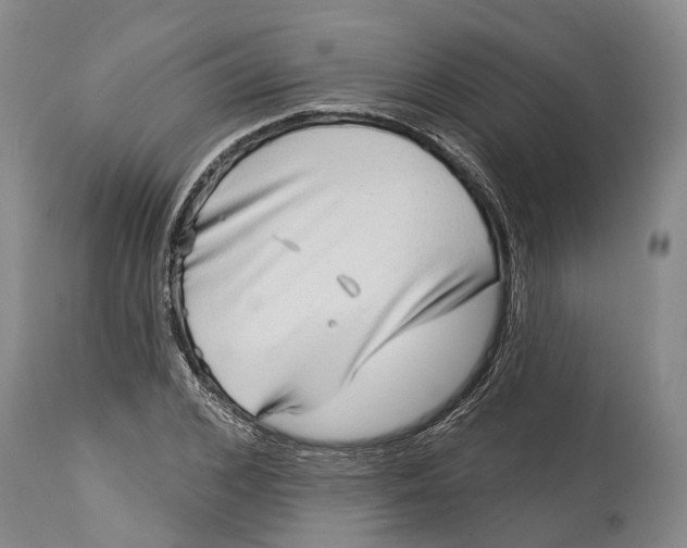 X0000115010976200911161556