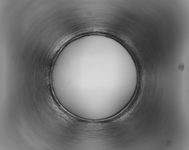 X0000115010977200911161556