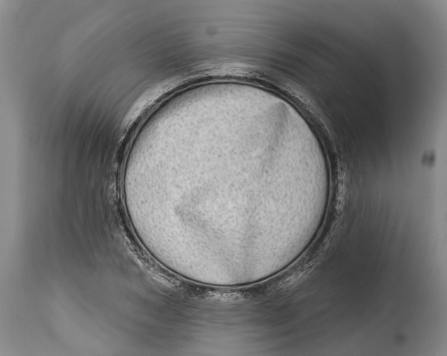 X0000115010978200911161556