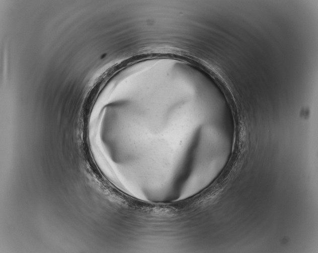 X0000115010979200911161556