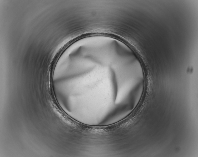 X0000115010982200911161556