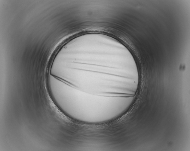 X0000115010984200911161556