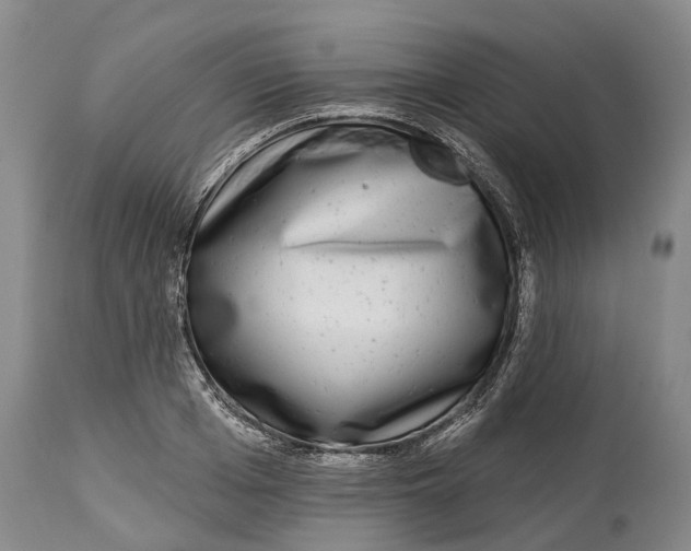 X0000115010985200911161556