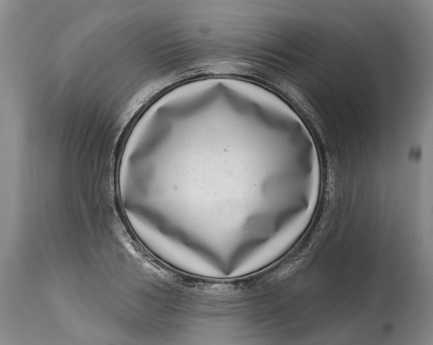 X0000115010986200911161556