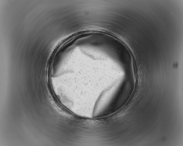 X0000115010987200911161556