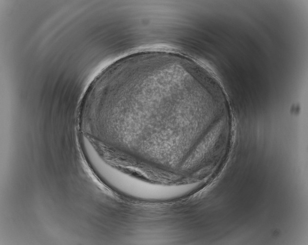 X0000115010989200911161556