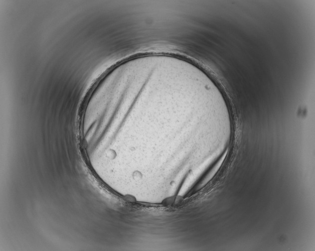 X0000115010990200911161556