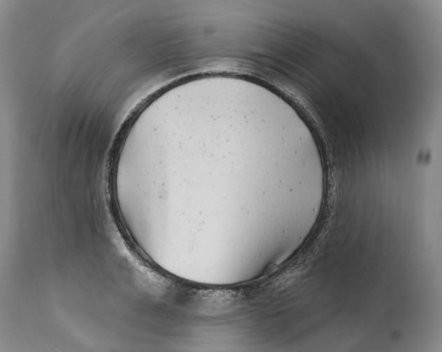 X0000115010991200911161556