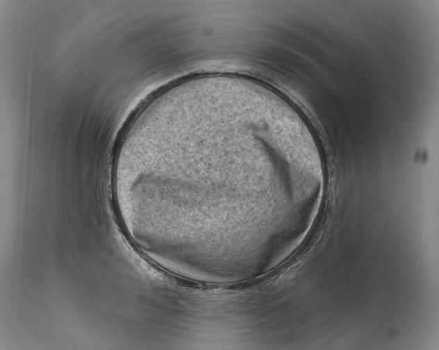 X0000115010992200911161556