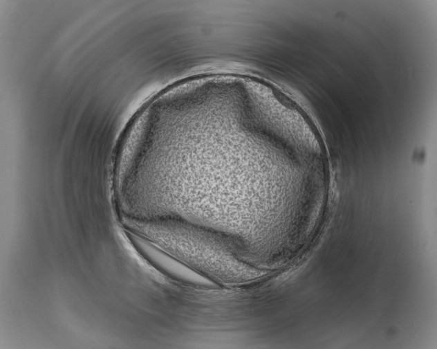 X0000115010997200911161556