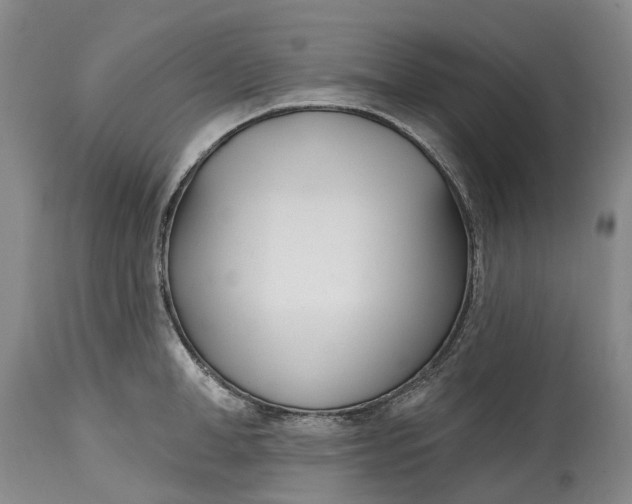 X0000115010998200911161556