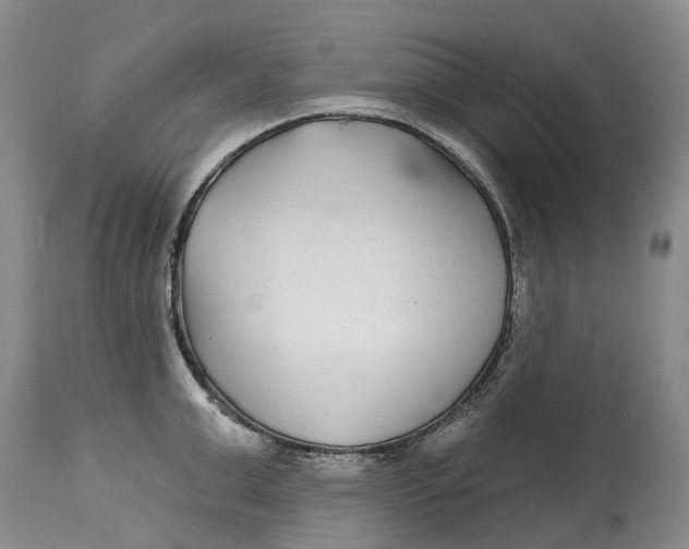 X0000115010999200911161556
