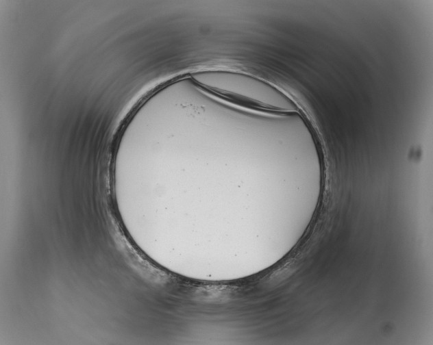 X0000115011000200911161556
