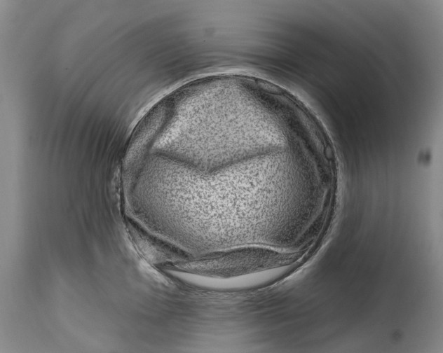 X0000115011001200911161556