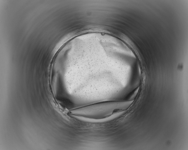 X0000115011002200911161556