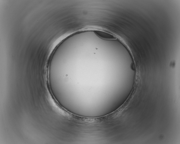 X0000115011003200911161556