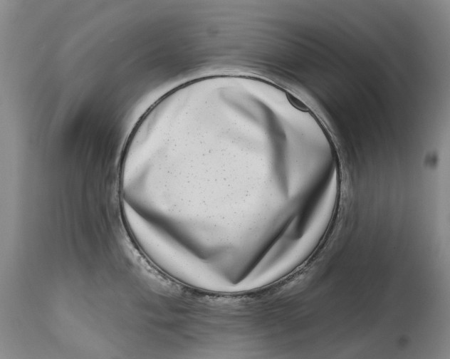 X0000115011004200911161556