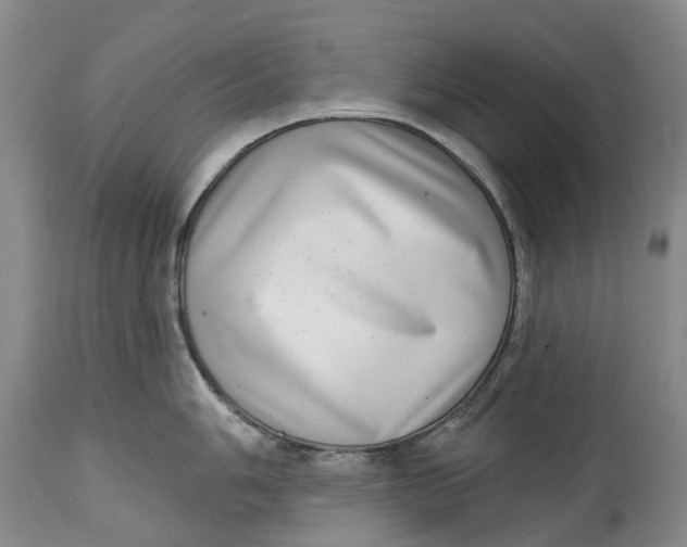 X0000115011006200911161556