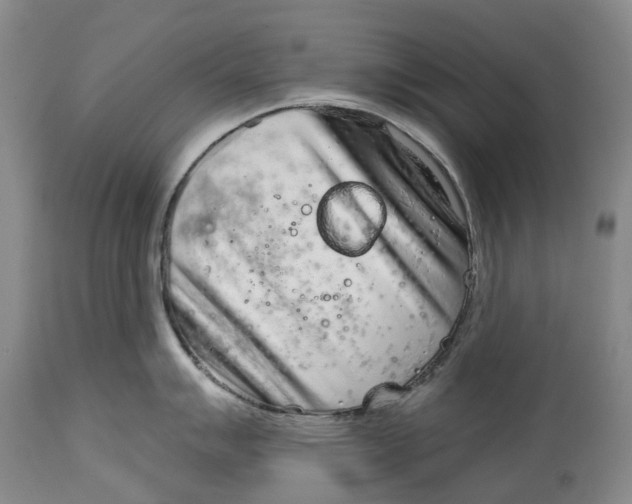 X0000115011007200911161556