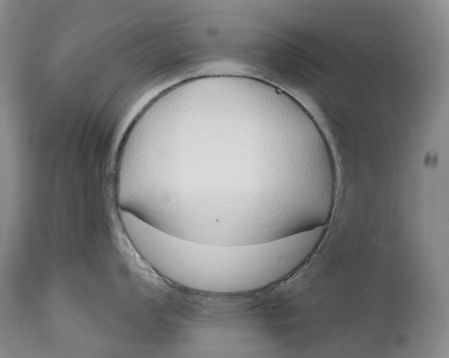 X0000115011008200911161556