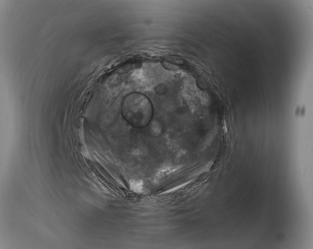X0000115011009200911161555