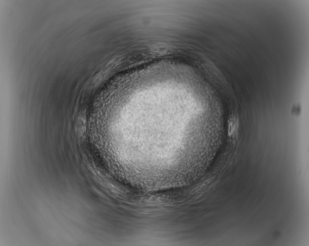 X0000115011011200911161555