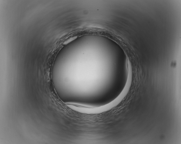 X0000115011013200911161555