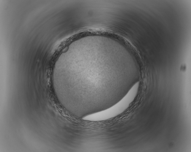 X0000115011016200911161555