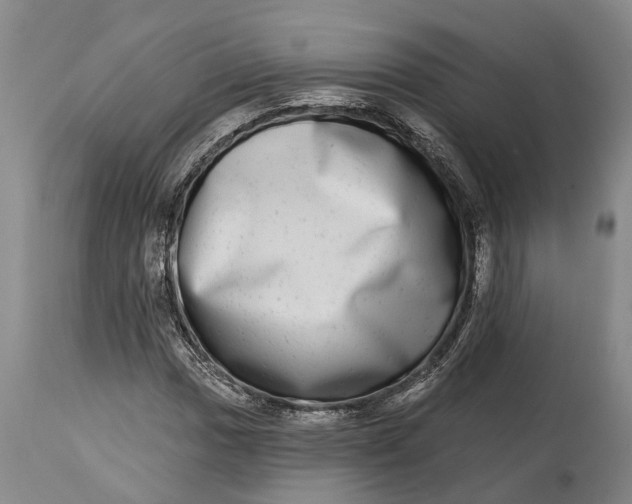 X0000115011017200911161555