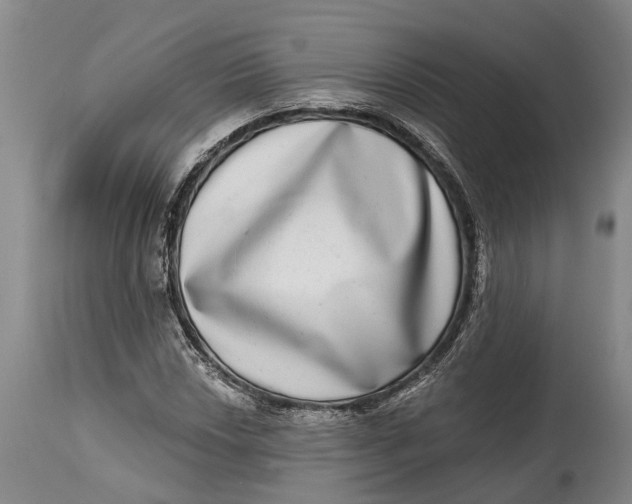 X0000115011018200911161555