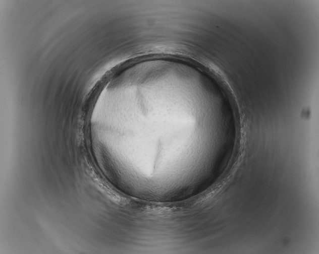 X0000115011019200911161555