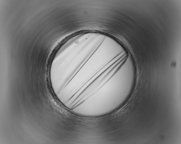 X0000115011020200911161555
