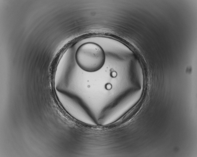X0000115011022200911161555