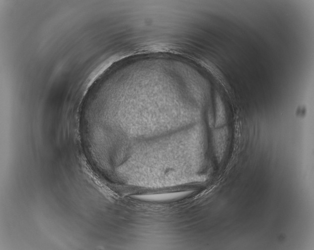 X0000115011023200911161555